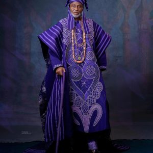 Shop Aesthetic Purple With Regal Embroidery Details Agbada - Deji & Kola